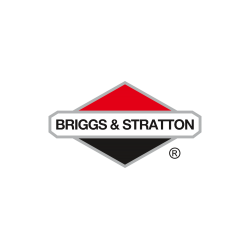 Priekš Briggs&Stratton
