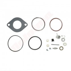 REMONTA KOMPLEKTS KARBURATORA B&S (697154, 697241)