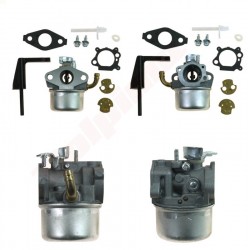 KARBURATORS B&S (792970, 798654)