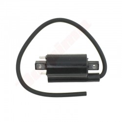 B&S aizdedzes spole (820037)