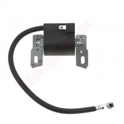 B&S aizdedzes spole (843931)