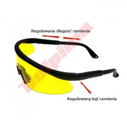 AIZSARGBRILLES DZELTENS