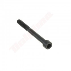 SKRŪVE M6X55 IMBUS 5 ĶĪNIEŠU KRŪMGRĒŽA IZpūtējs