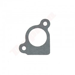 KARBURATORA BLĪVE PAR B&S (272199S)