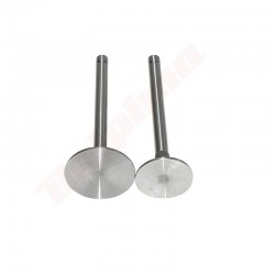 DECOMPRESSION VALVE FOR YANMAR L100 ( 114310-11100 , 114310-11110 )