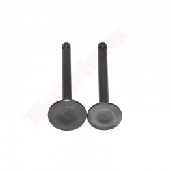 DECOMPRESSION VALVE FOR ROBIN EX12 ( 268-33401-03 , 268-33501-03 )