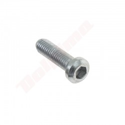 BLADE SCREW