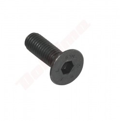 BLADE SCREW M8X25