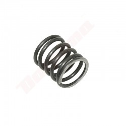 VALVE SPRING FOR LONCIN 154F ( 140340027-T020 )