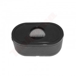 AIR FILTER FOR LONCIN LC2P73F , LC2P76F ( 180100123-0001 , 180100123-T465 )