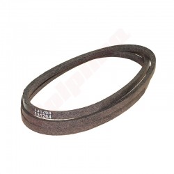 Ķīļsiksna AYP (131264)