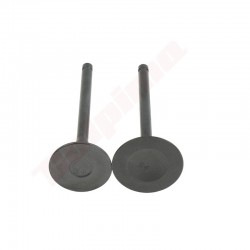 DEKOMPRESIJAS VĀRSTS ROBIN EX40 (20B-33401-H3)