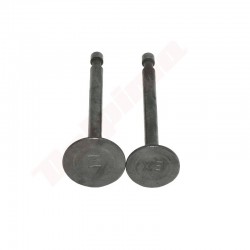 КЛАПАН ДЕКОМПРЕССИИ ДЛЯ ROBIN EY20 ( 227-23401-03 )