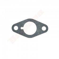 KARBURATORA BLĪVE PAR TECUMSEH ( 26756 , 27141 )