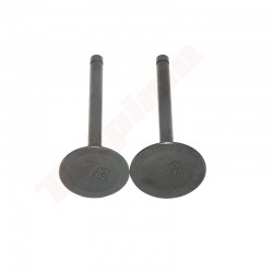 DEKOMPRESIJAS VĀRSTS ROBIN EX27 (279-33401-H3)