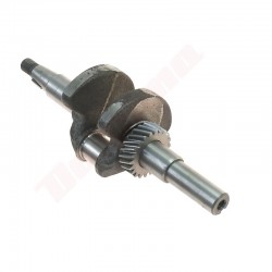 KLOĶVĀRSTA PAR ROBIN EY20 (282-21001-01)