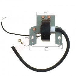 B&S aizdedzes spole (298316)