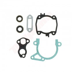 STIHL TS410 , TS420 6PC ( 4238 007 1003 ) BLĪVES UN BLĪVES