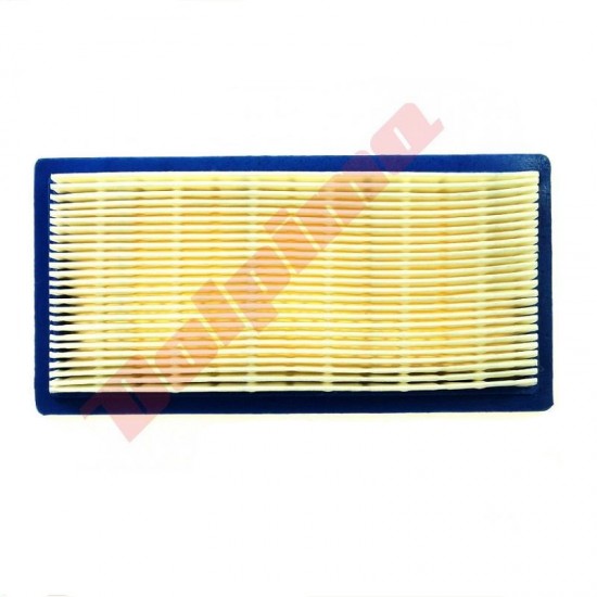 GAISA FILTRA B&S (494511) 178X89X29