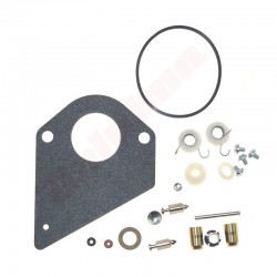 REMONTA KOMPLEKTS KARBURATORA B&S (494880, 497535, 499220)