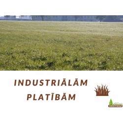 Zāliena sēklas: Apzaļumotājs (1kg)