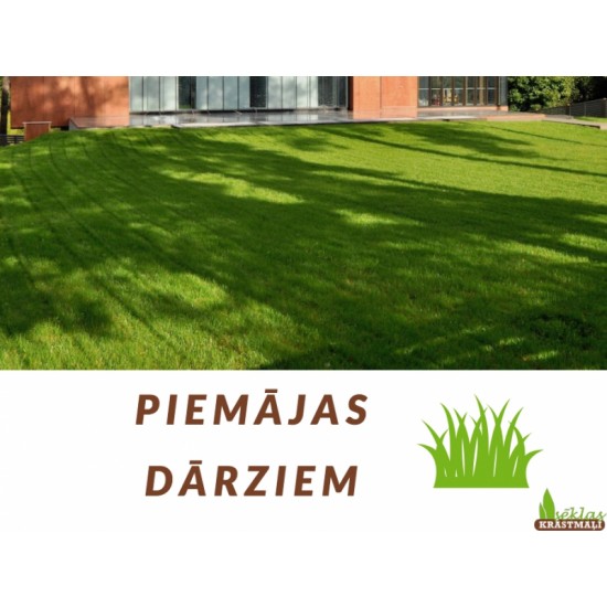 Zāliena sēklas:  Biezais-Lēnais/Dekoratīvais (1kg)