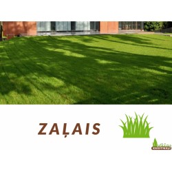 Zāliena sēklas: Zaļais (5kg)