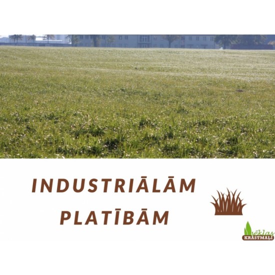 Zāliena sēklas: Apzaļumotājs (10kg)