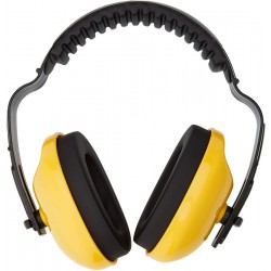 Austiņas ar stiklu OREGON