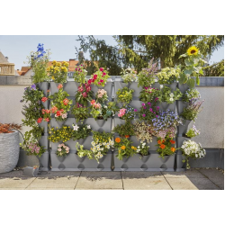 Vertikālo stādu kastu laistīšanas komplekts