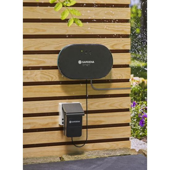 Viedā laistīšanas kontrole