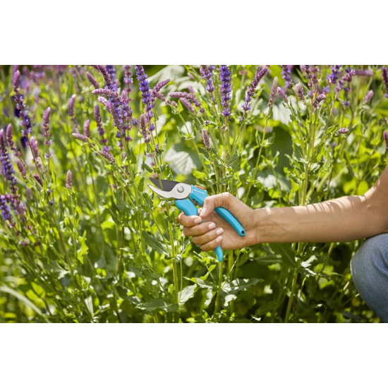 Classic Dārza grieznes