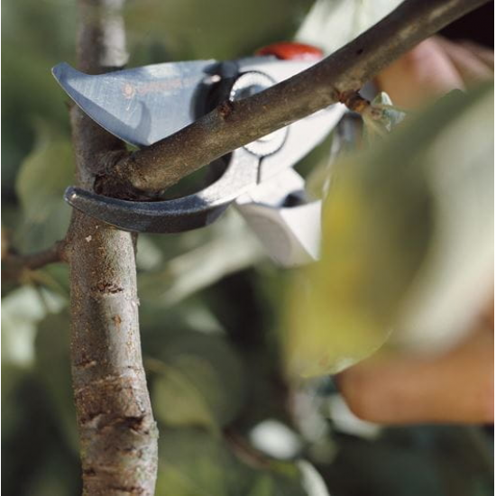 Premium Dārza grieznes BP 50