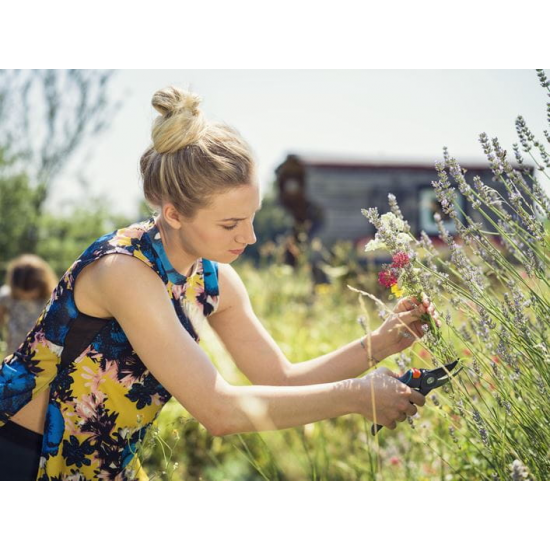 Comfort Dārza grieznes B/M