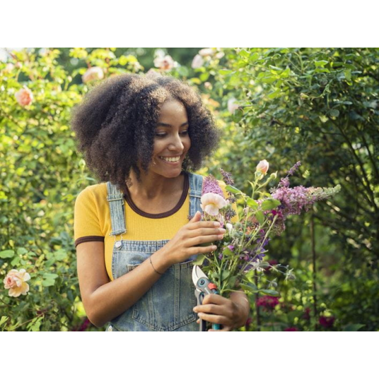 Dārza grieznes ExpertCut