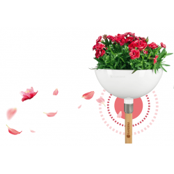 ClickUp! Ziedu Turētājs