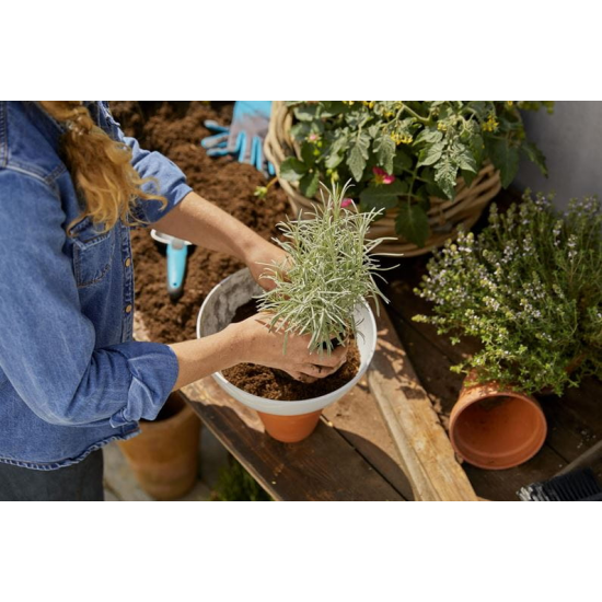 ClickUp! Ziedu Turētājs