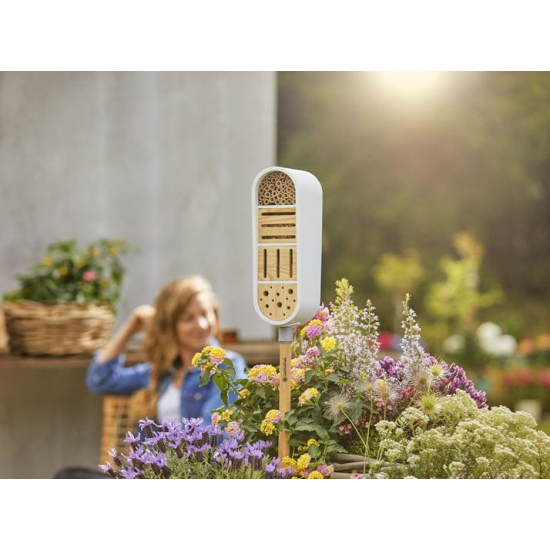 ClickUp! Kukaiņu māja