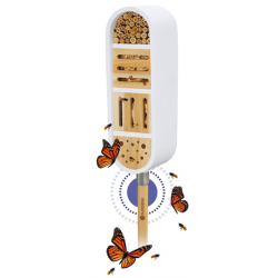 ClickUp! Kukaiņu māja