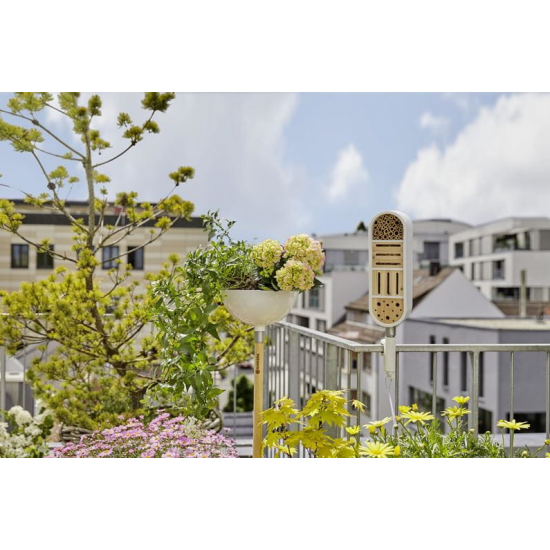 ClickUp! Kukaiņu māja