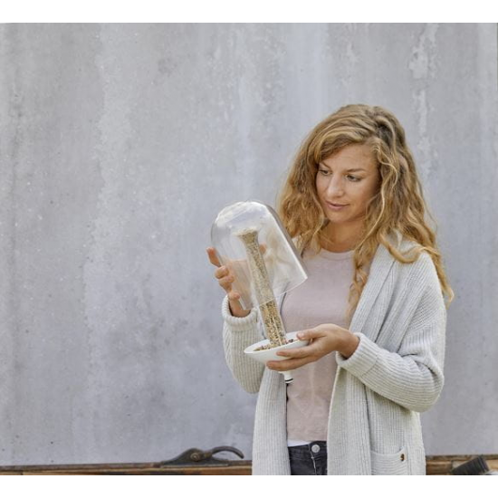 ClickUp! Putnu barotava