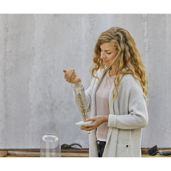 ClickUp! Putnu barotava