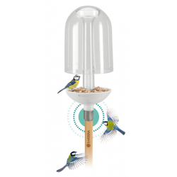 ClickUp! Putnu barotava