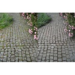 Bruģa slota Kwern Greenbuster Pro III