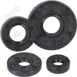 Vārpstas blīvslēgi PILAREK T38 3800 NAC SPS01 38 (5903794700116)