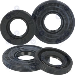 Vārpstas blīvslēgu komplekts 4500/5200 (5903794700123)