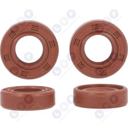 Vārpstas blīvslēgu komplekts FS38/55 (5903794700178)