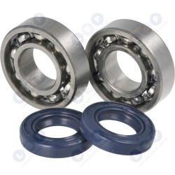 VĀRPSTAS GULTŅU BLĪVĒJUMI STIHL 017 018 MS170 180 ()