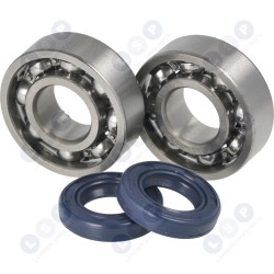 VĀRPSTAS GULTŅU BLĪVĒJUMI STIHL 021 023 025 MS250 ()