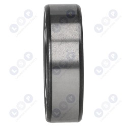 Lodīšu gultnis 6203 2RS KLĪNS C3 VIENA RINDA 17x40x12 (5903794732438)